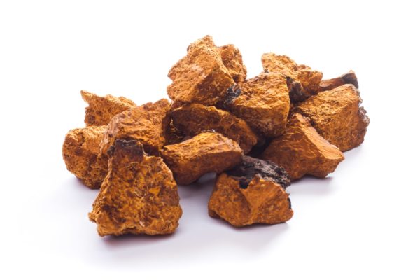 Chaga Brocken