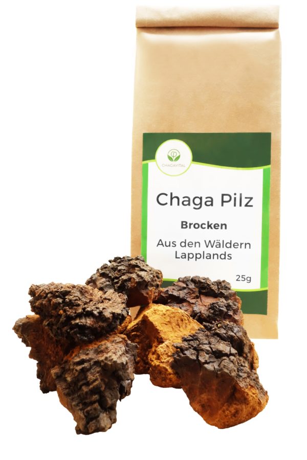 Chaga-Pilz-Brocken